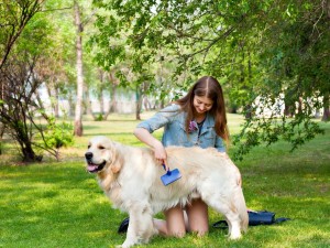 Köpek Nasıl Temizlenir