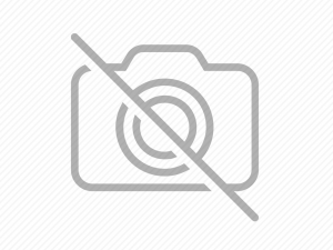 Kedi Bakımı Nasıl Yapılır